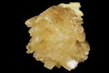 Honey Yellow Celestine (Celestite) Crystal Spray - Machow Mine, Poland #79275-1